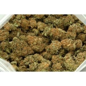 Grape Soda - Hybrid - Indoor 27 % THC